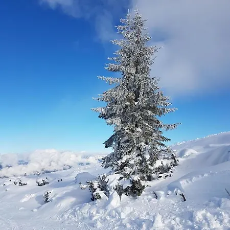 Apartmán Appartementhaus